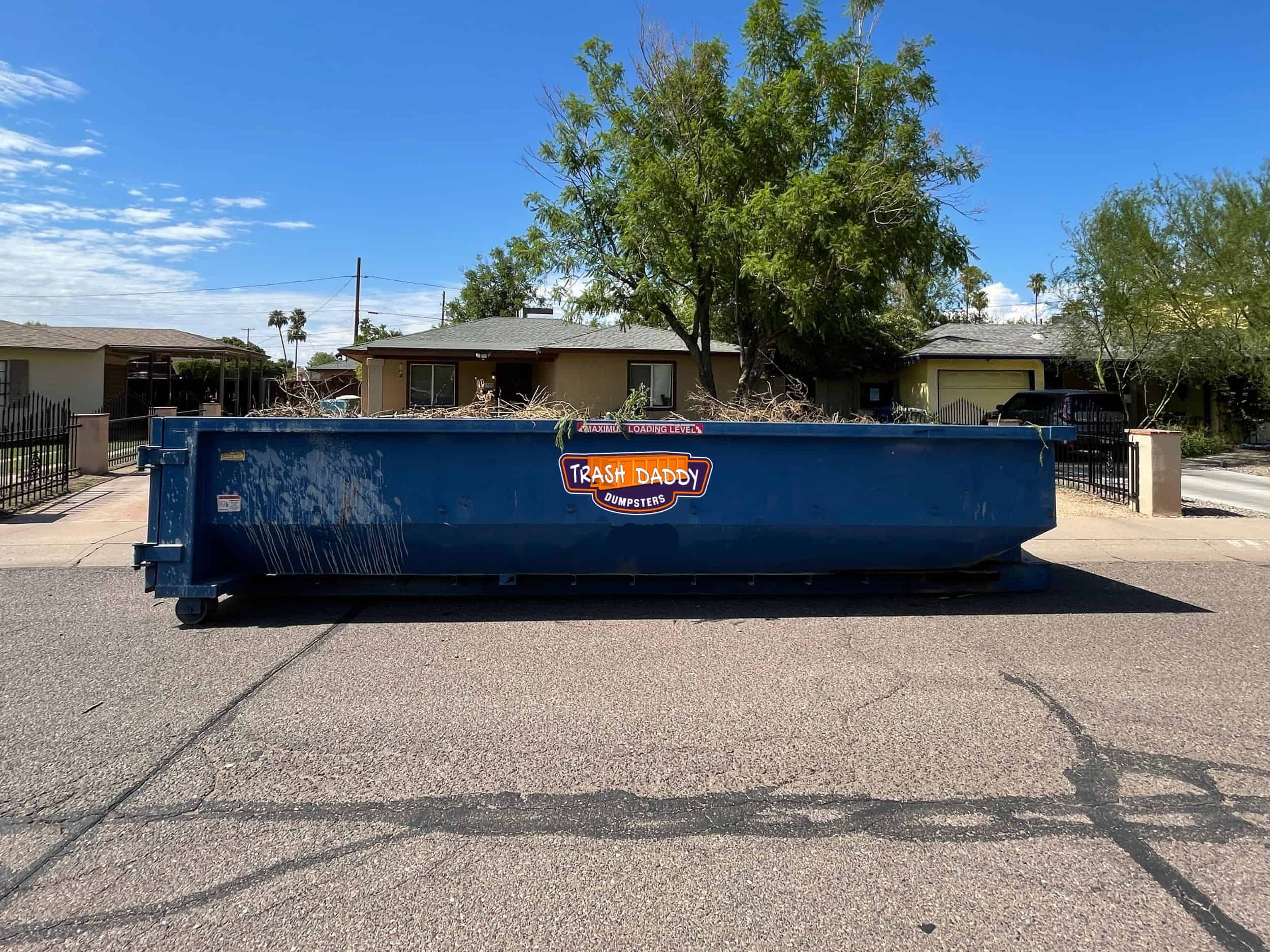 Home Renovation Dumpster
