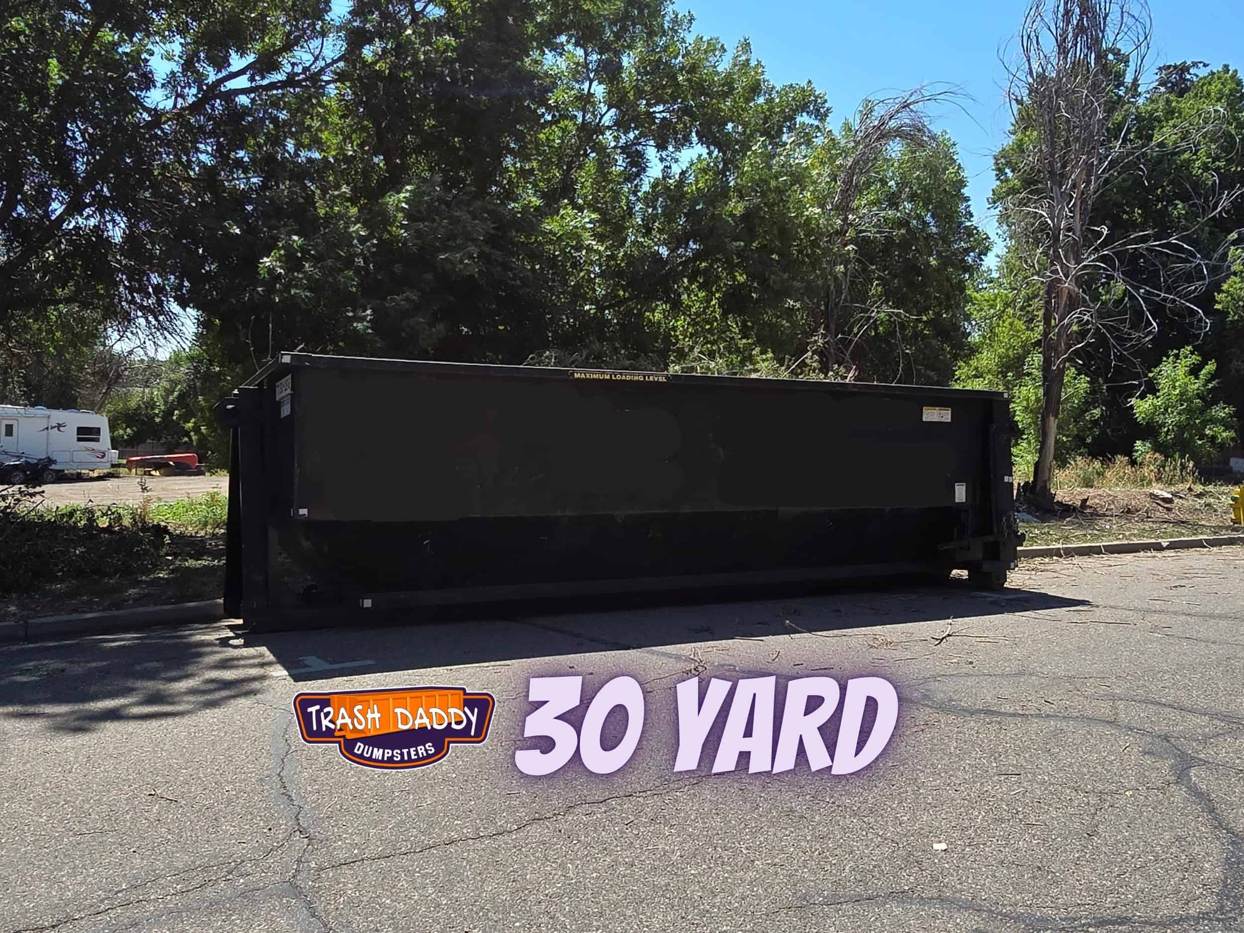 black 30 yard dumpster